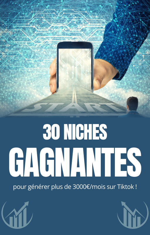 30 Niches Gagnantes